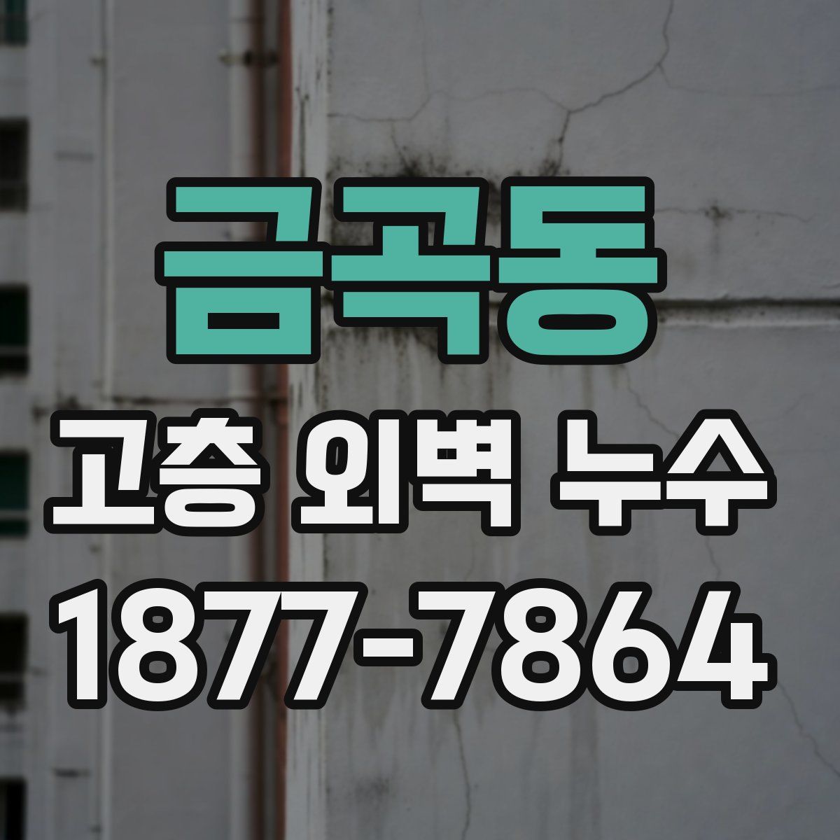 금곡동 고층 외벽 누수