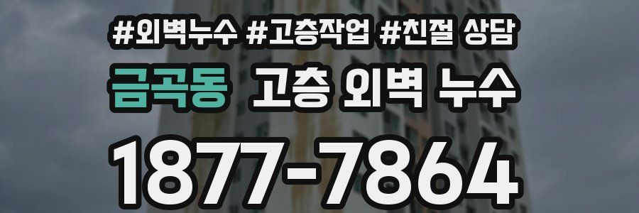 금곡동 고층 외벽 누수