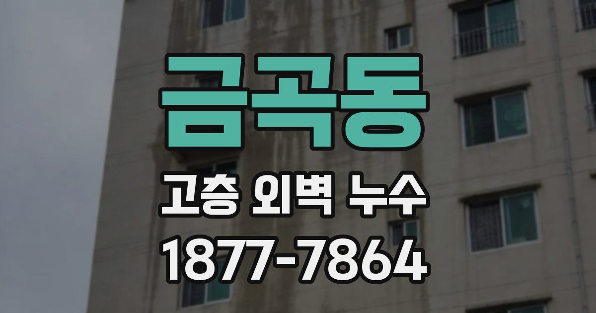 금곡동 고층 외벽 누수