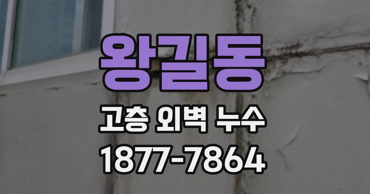 왕길동 고층 외벽 누수