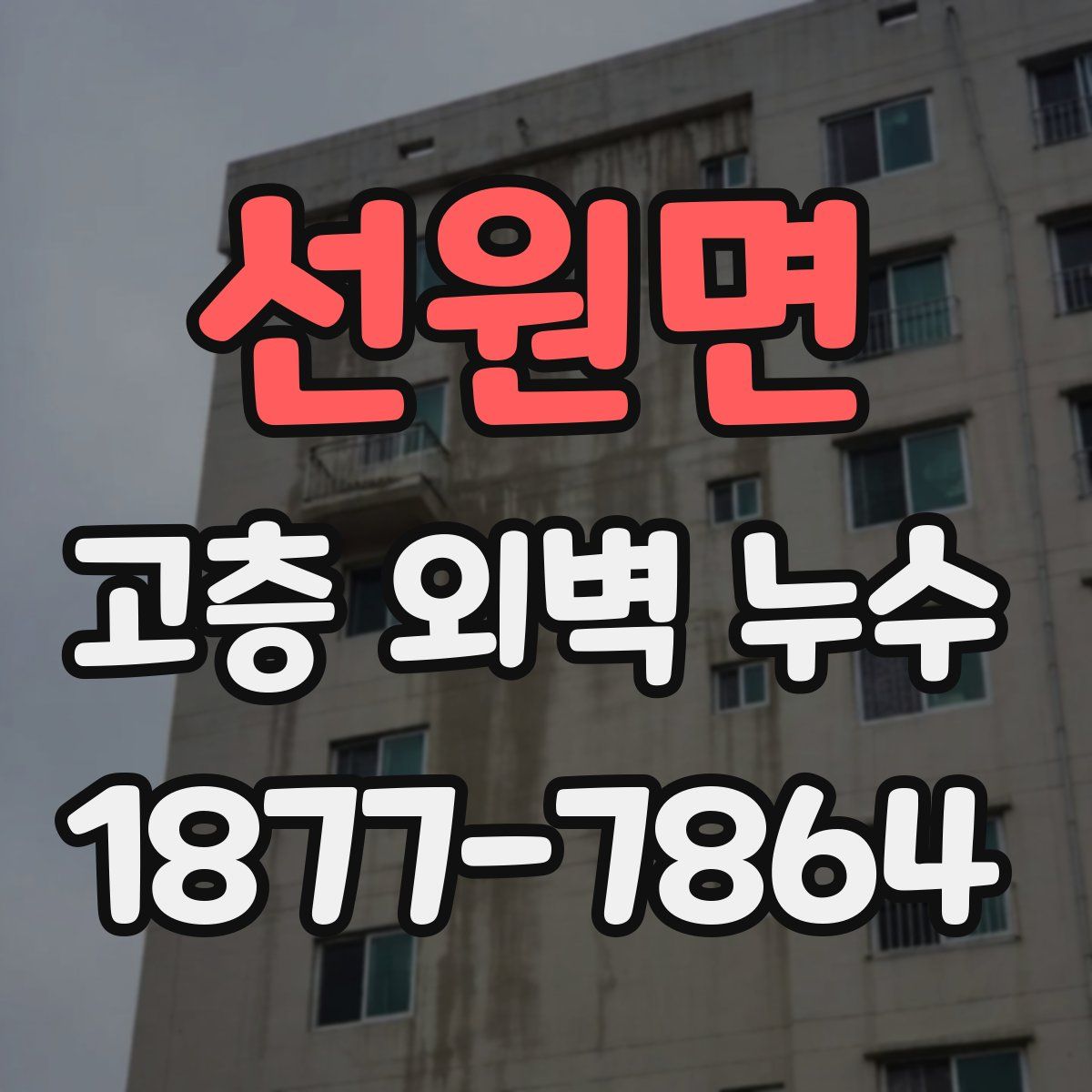 선원면 고층 외벽 누수