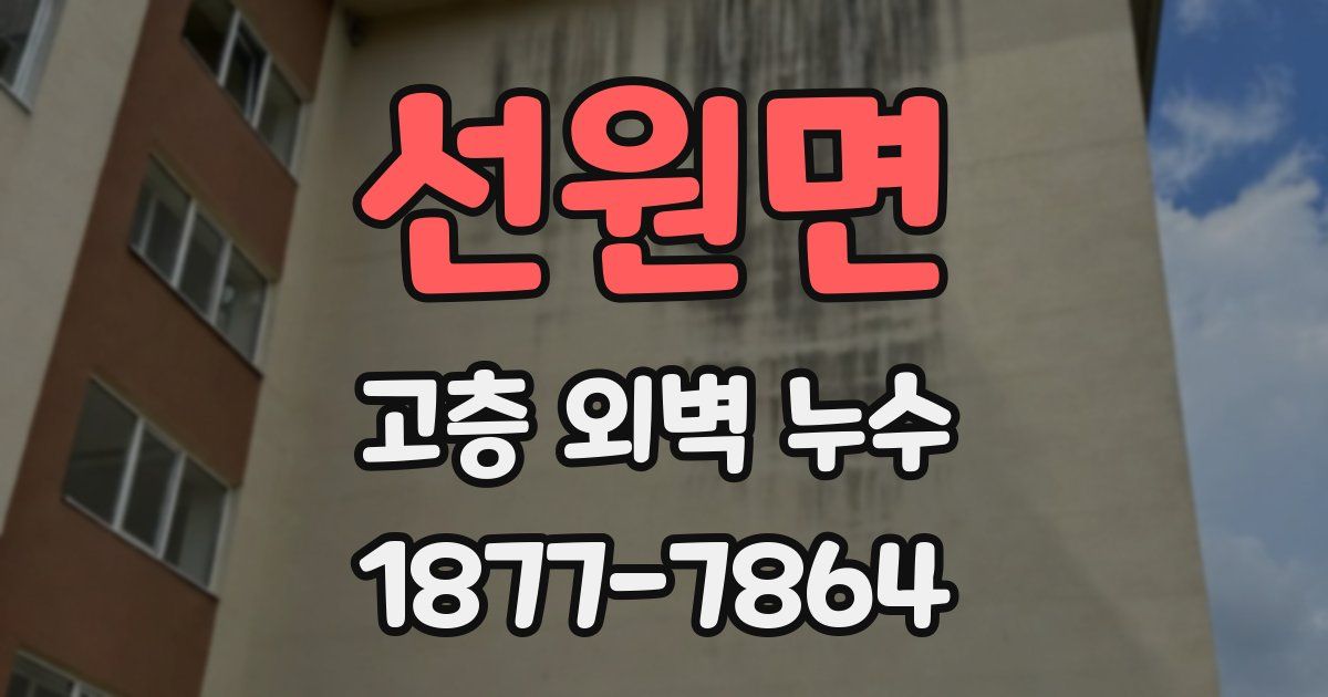 선원면 고층 외벽 누수