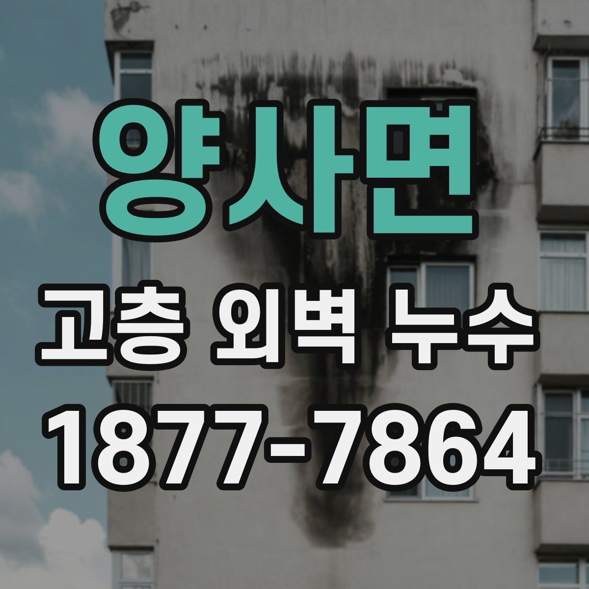 양사면 고층 외벽 누수
