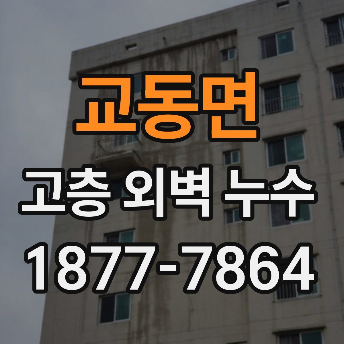 교동면 고층 외벽 누수