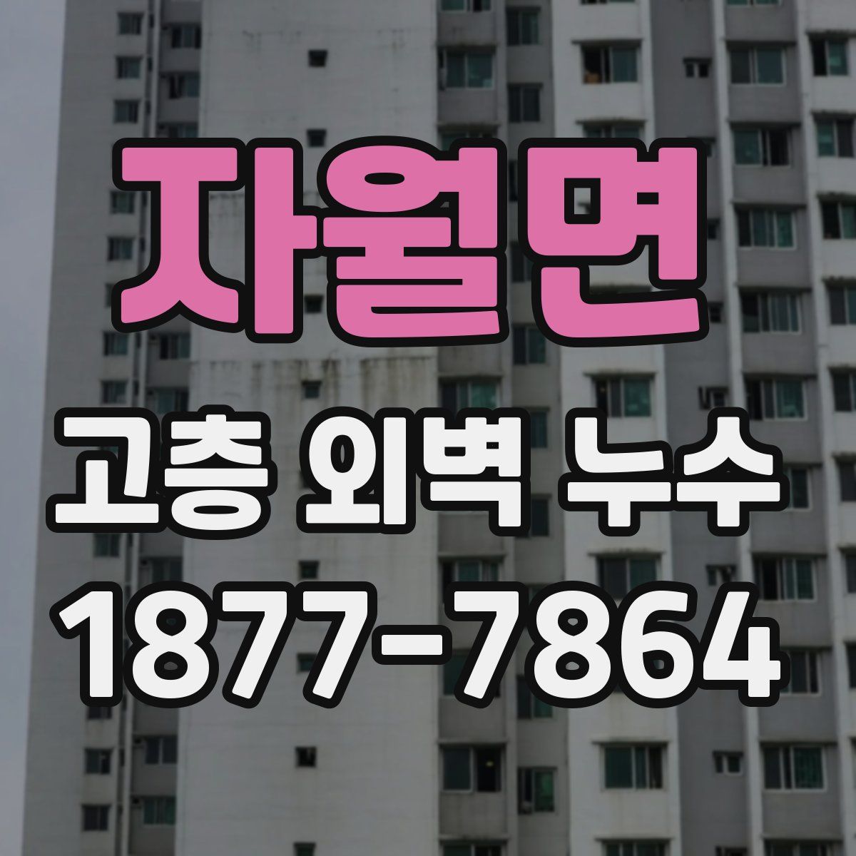 자월면 고층 외벽 누수