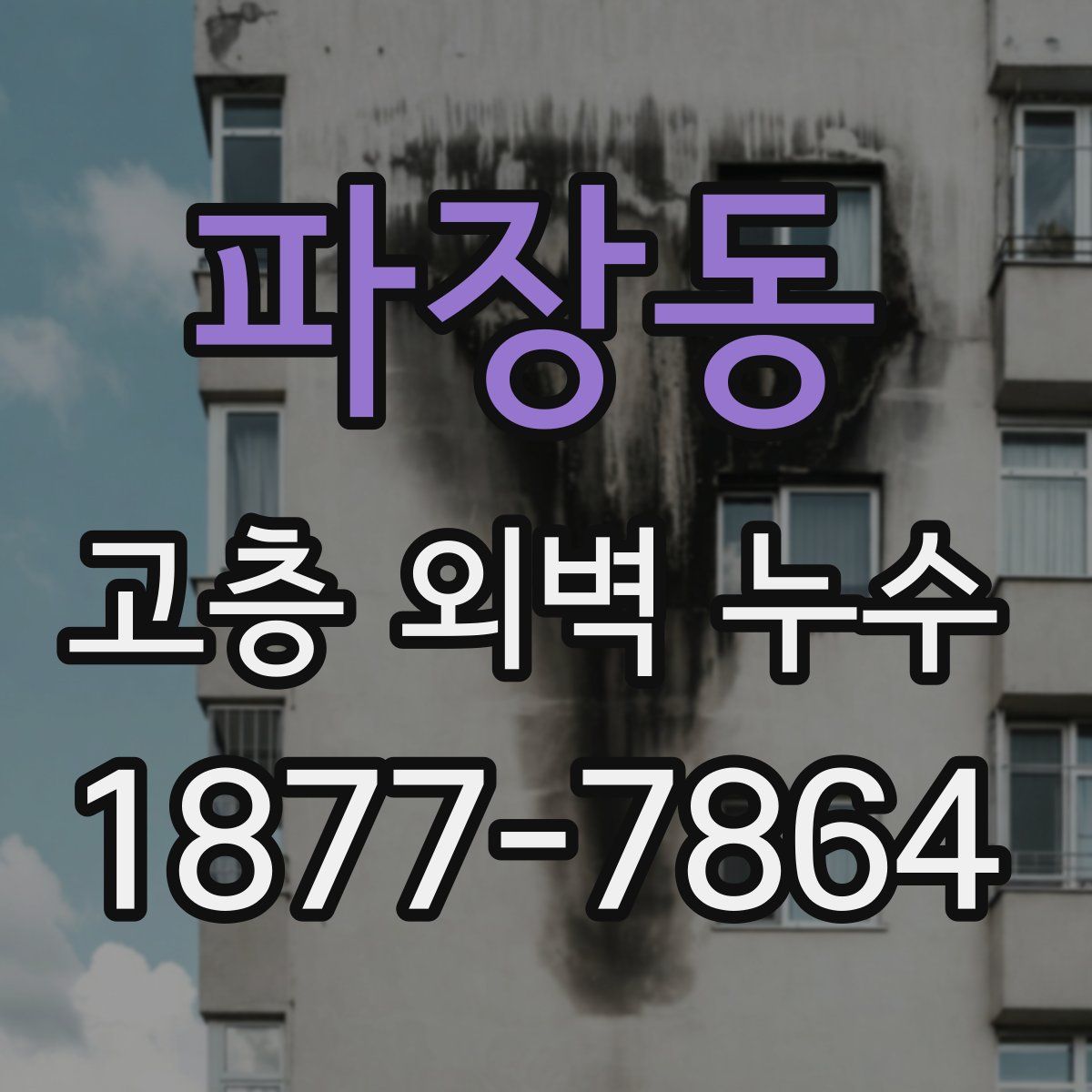 파장동 고층 외벽 누수