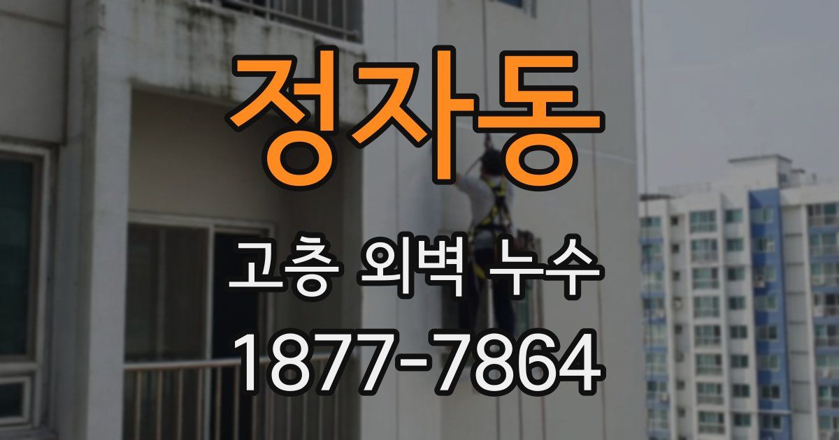 정자동 고층 외벽 누수