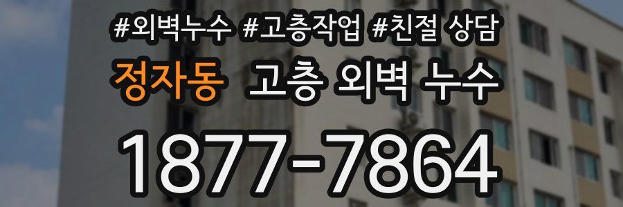 정자동 고층 외벽 누수