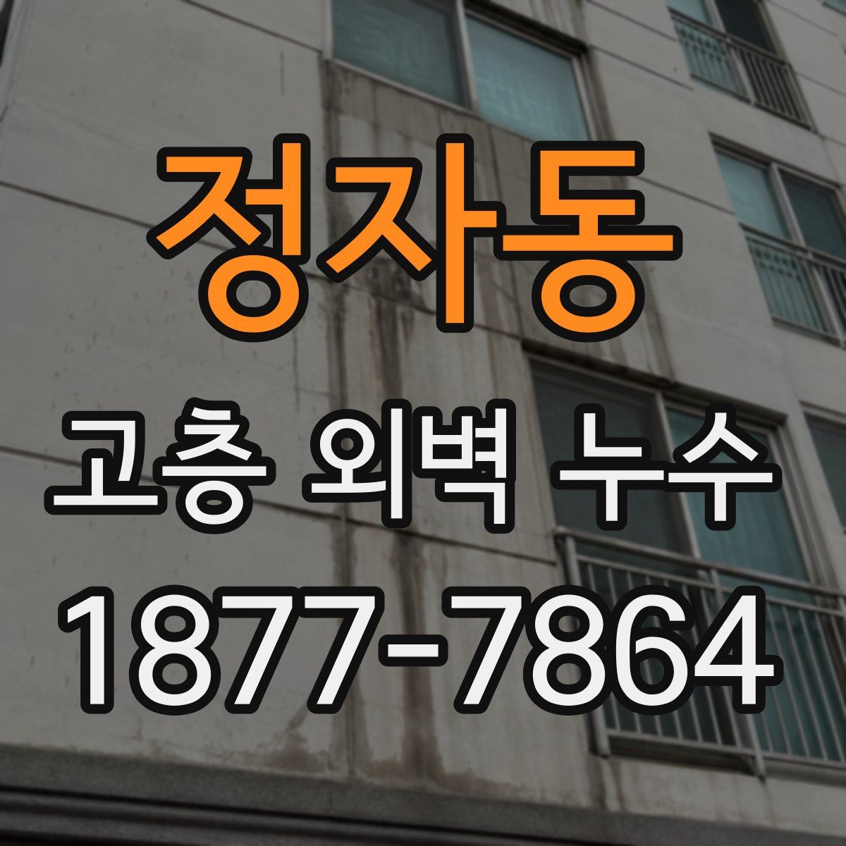 정자동 고층 외벽 누수