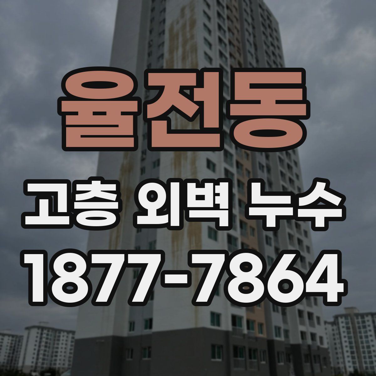 율전동 고층 외벽 누수