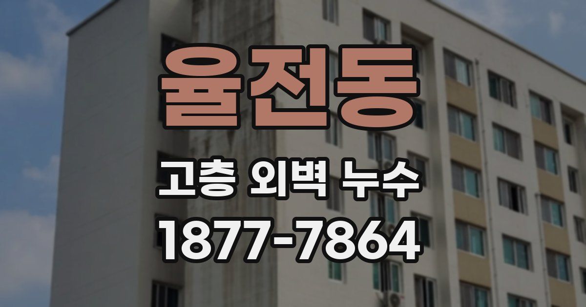 율전동 고층 외벽 누수