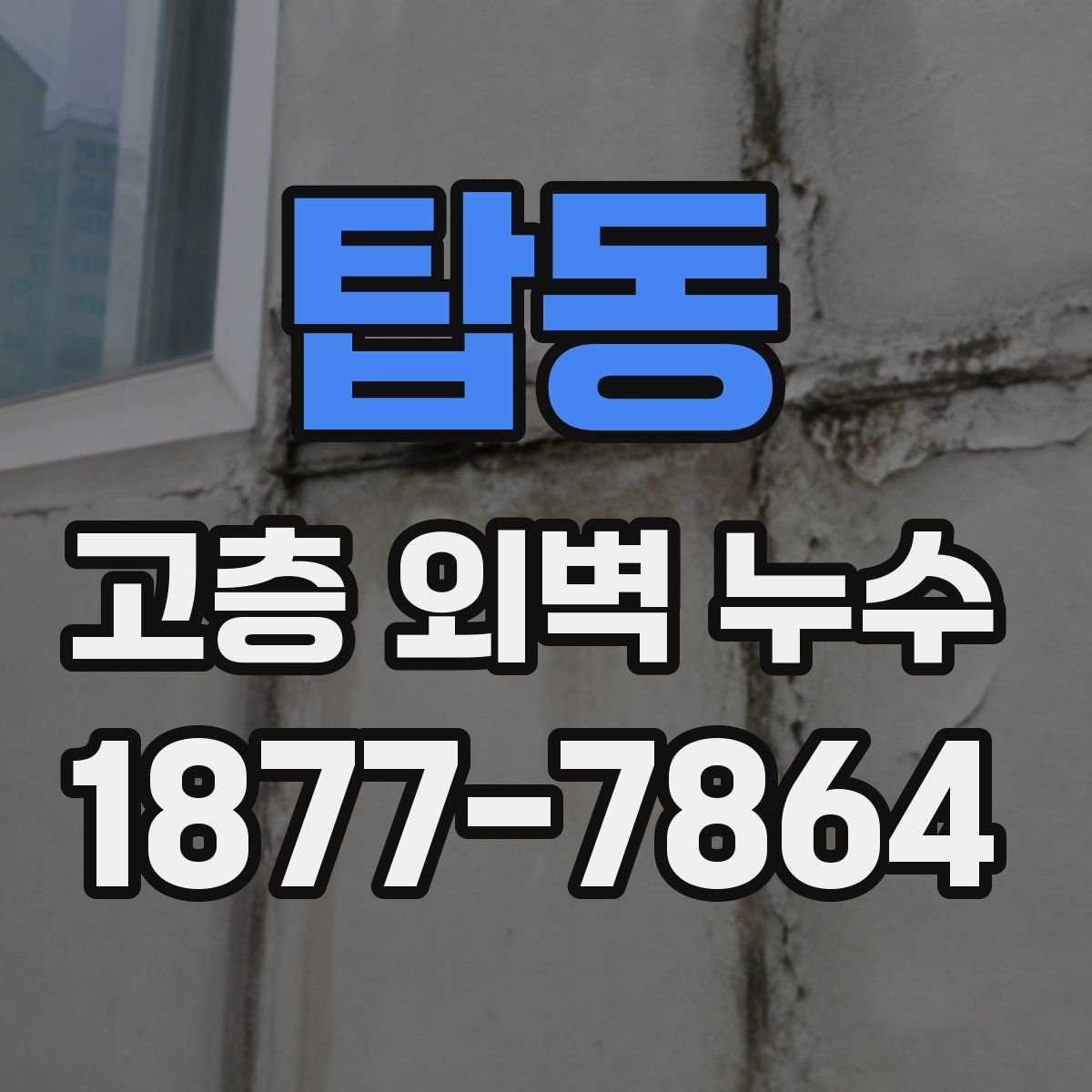탑동 고층 외벽 누수