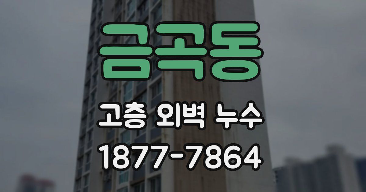 금곡동 고층 외벽 누수