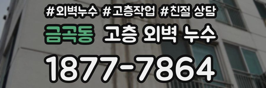 금곡동 고층 외벽 누수