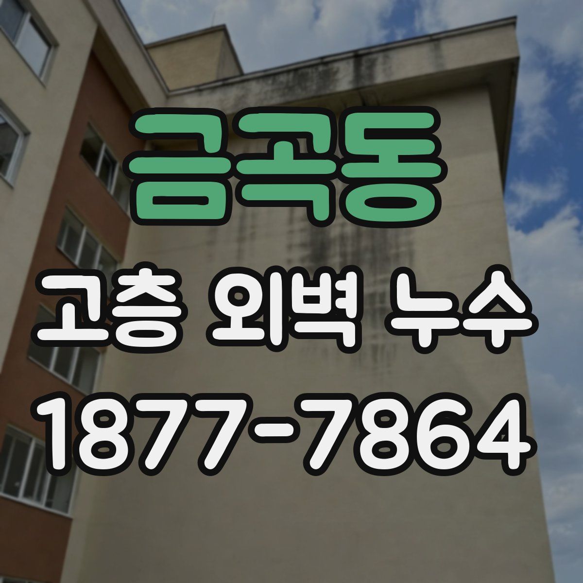 금곡동 고층 외벽 누수