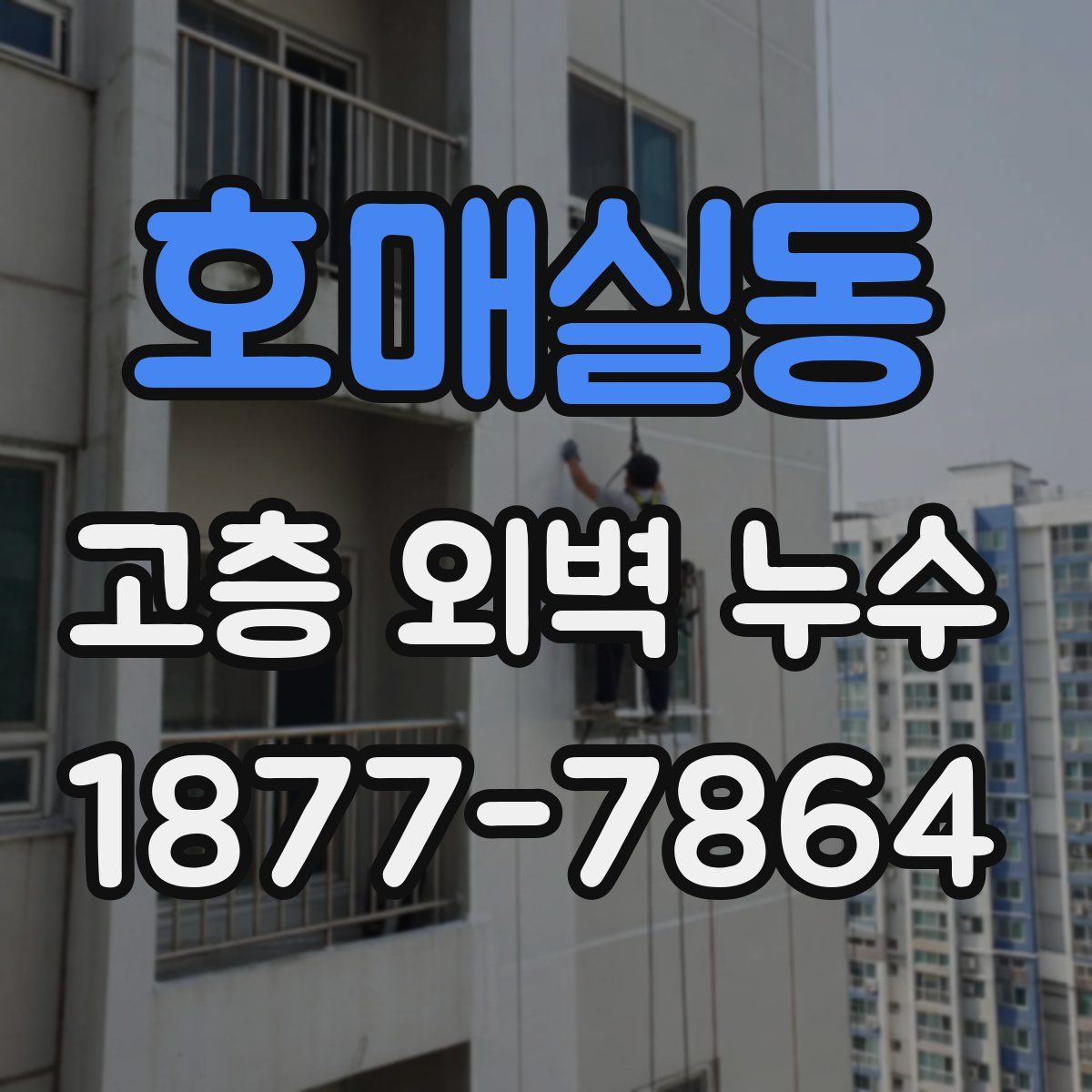 호매실동 고층 외벽 누수