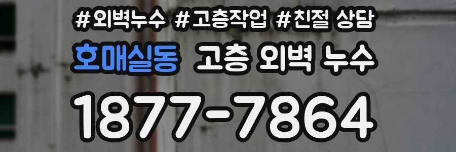호매실동 고층 외벽 누수