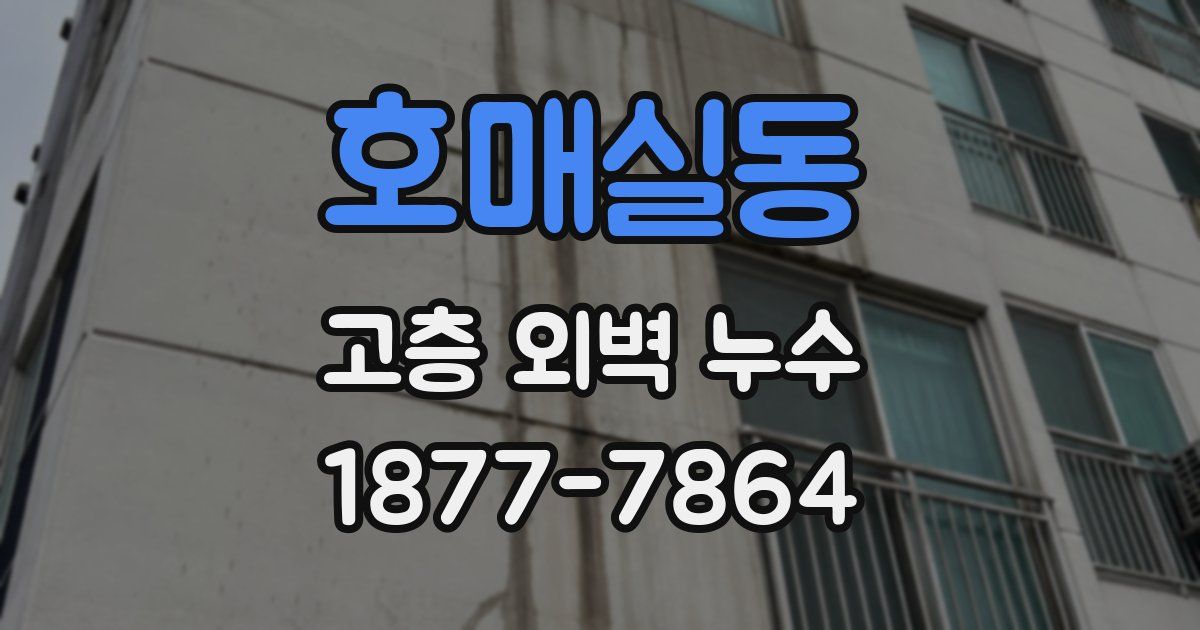 호매실동 고층 외벽 누수