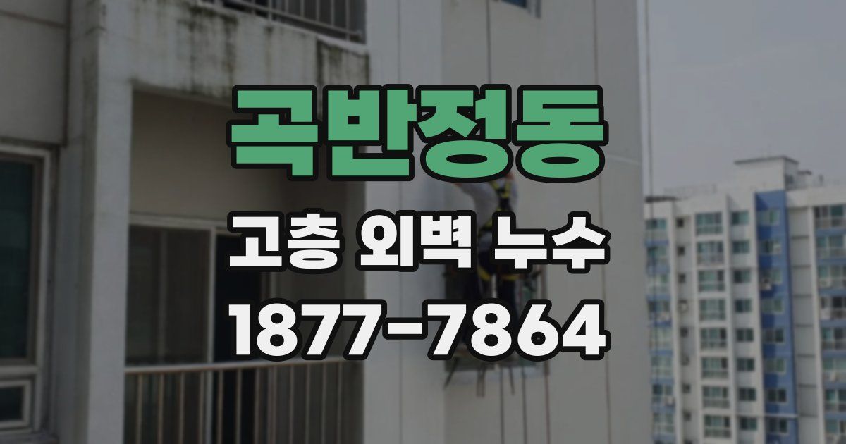 곡반정동 고층 외벽 누수