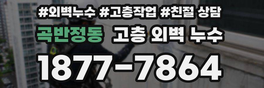 곡반정동 고층 외벽 누수