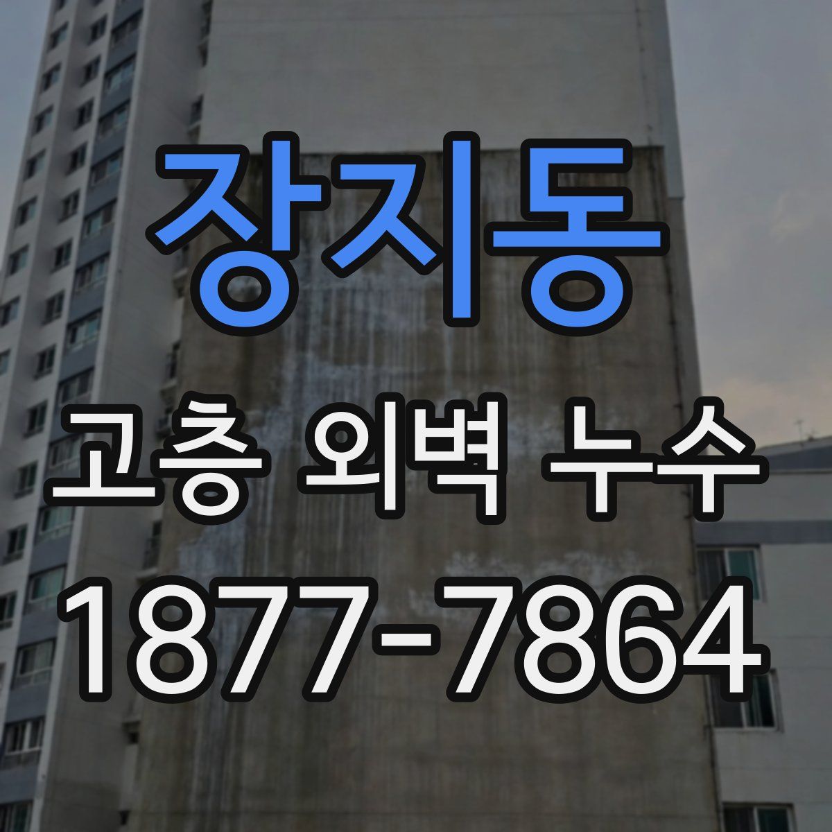 장지동 고층 외벽 누수