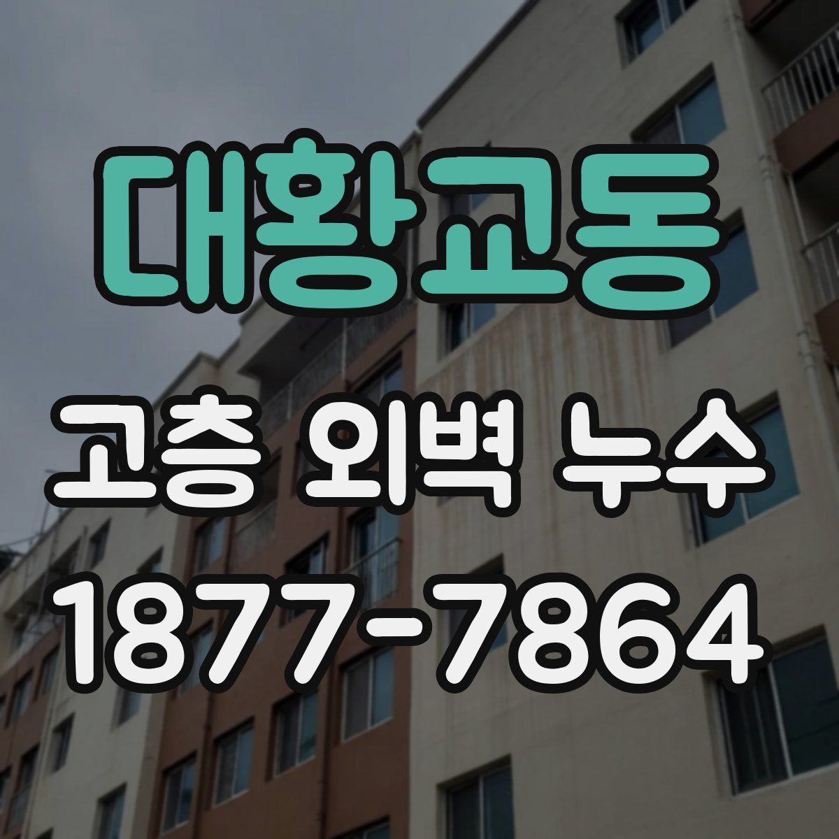 대황교동 고층 외벽 누수