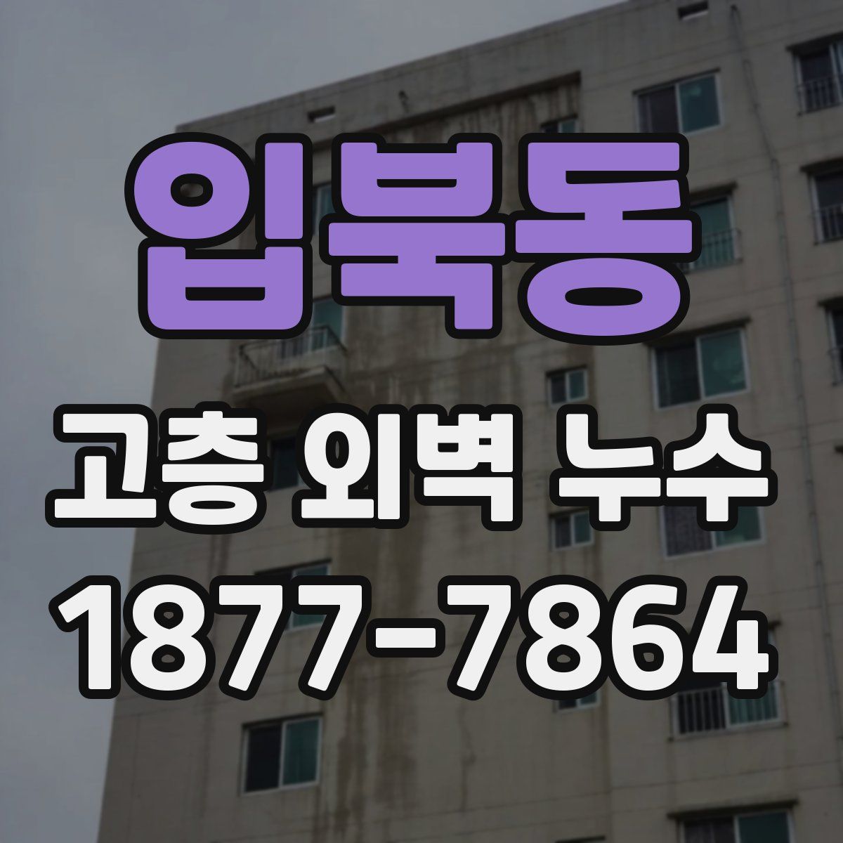 입북동 고층 외벽 누수
