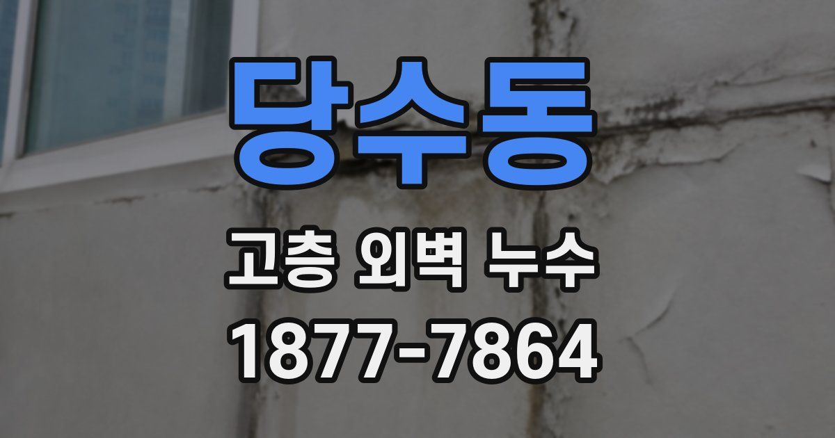 당수동 고층 외벽 누수