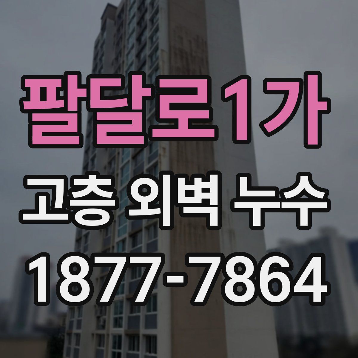팔달로1가 고층 외벽 누수