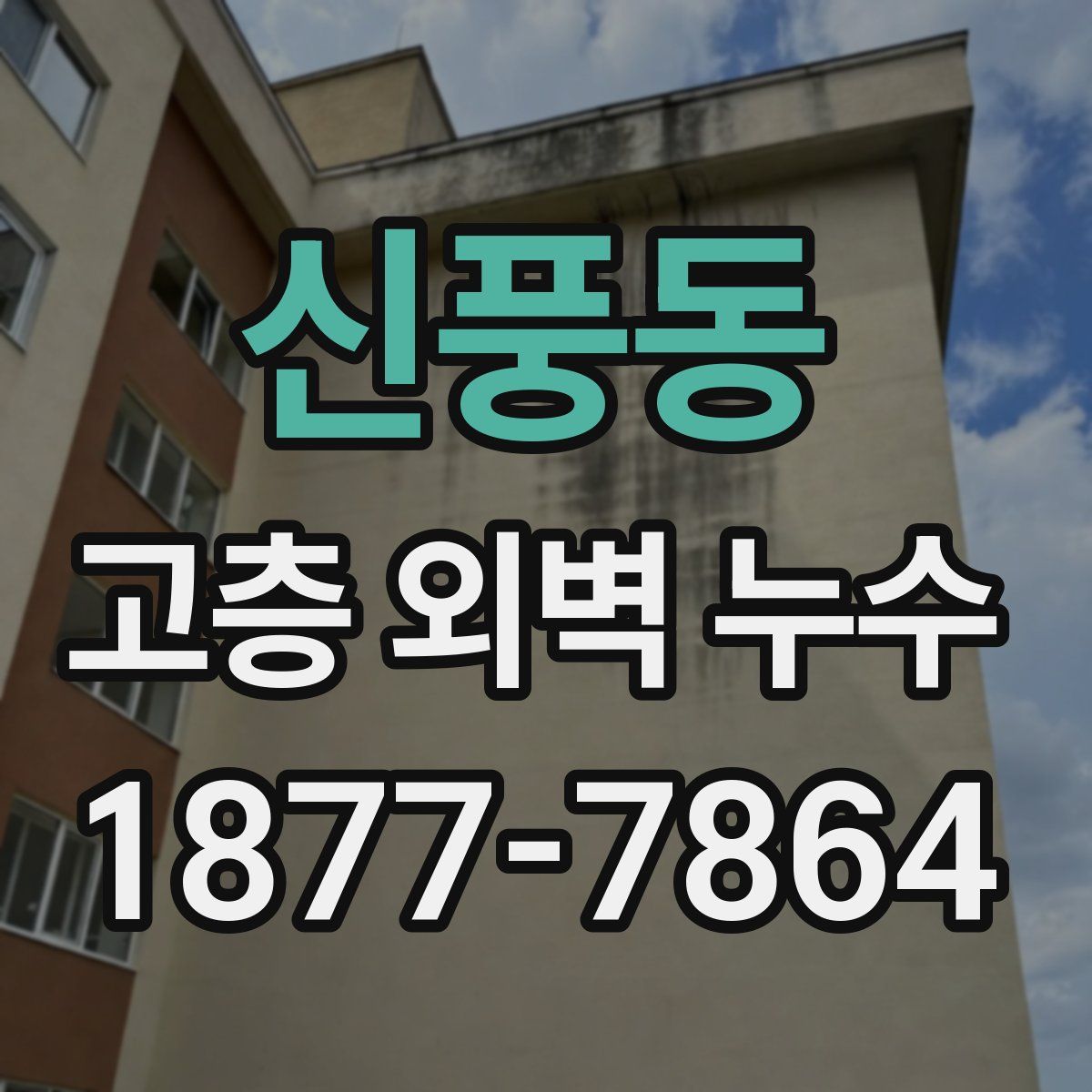 신풍동 고층 외벽 누수