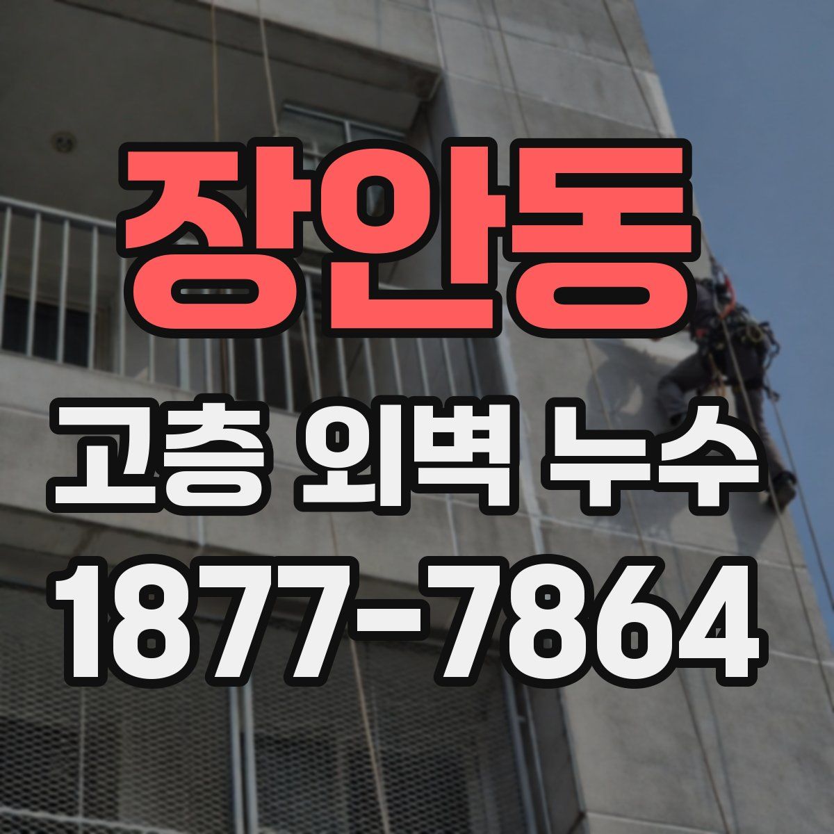 장안동 고층 외벽 누수