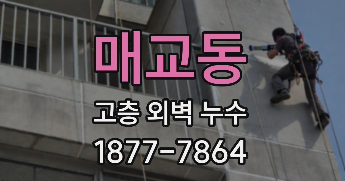 매교동 고층 외벽 누수