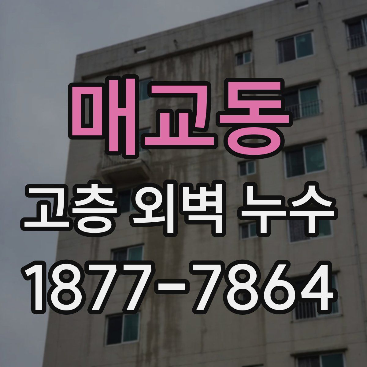 매교동 고층 외벽 누수