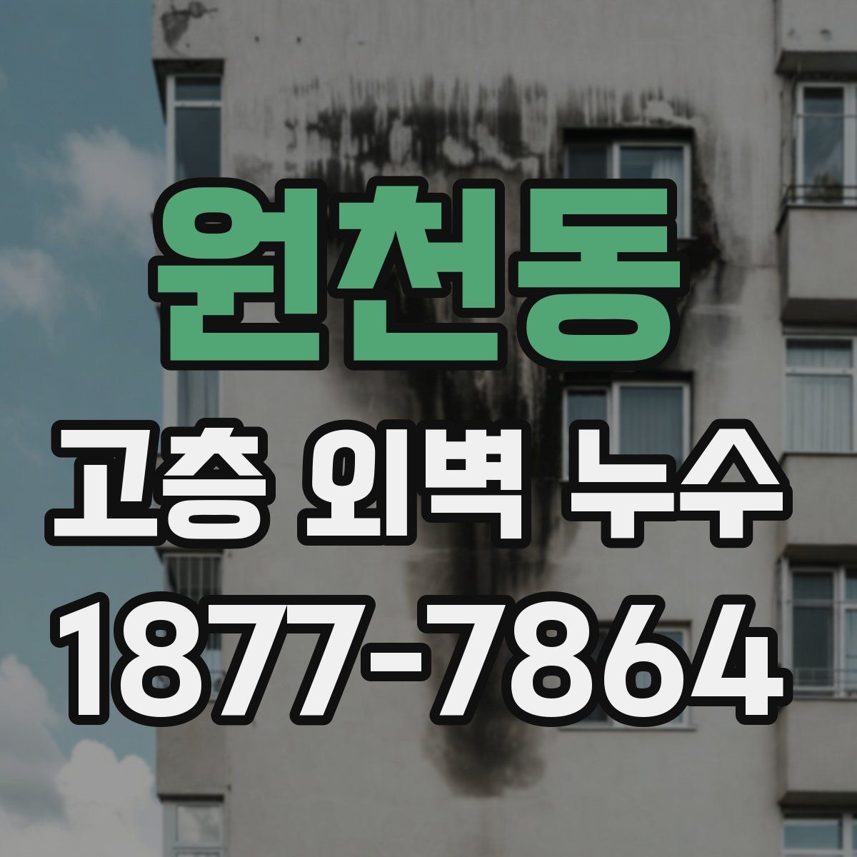 원천동 고층 외벽 누수