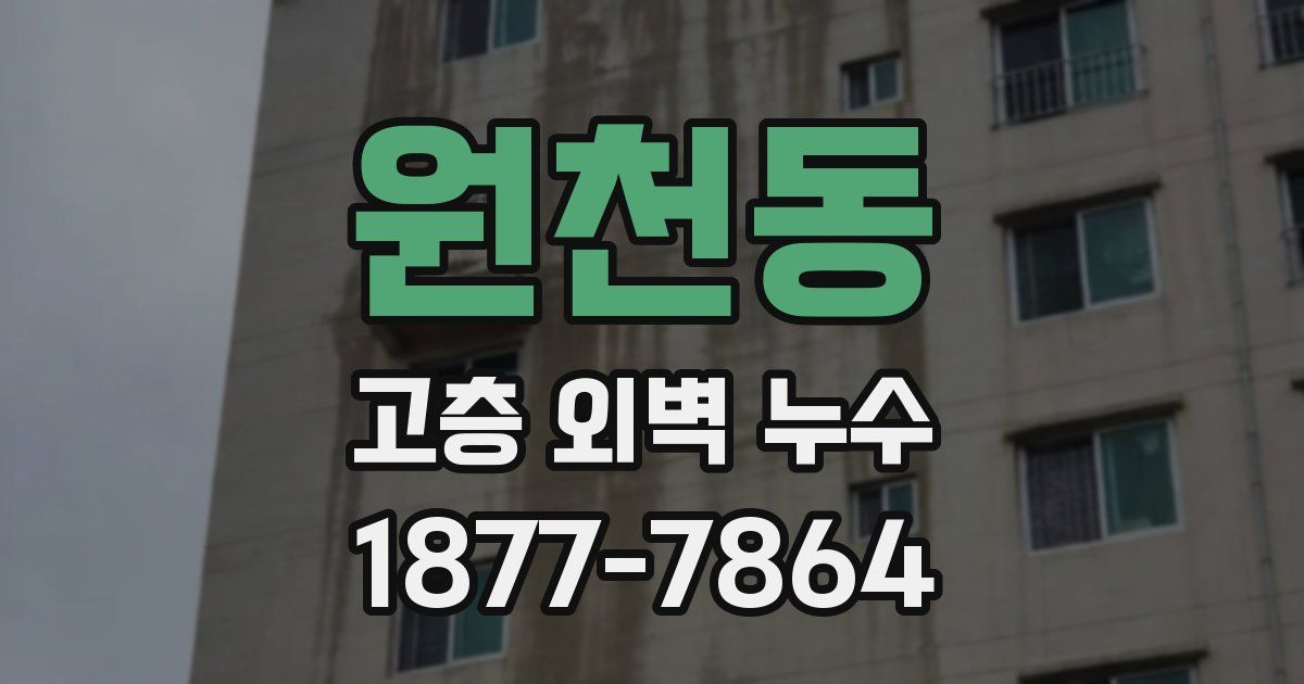 원천동 고층 외벽 누수