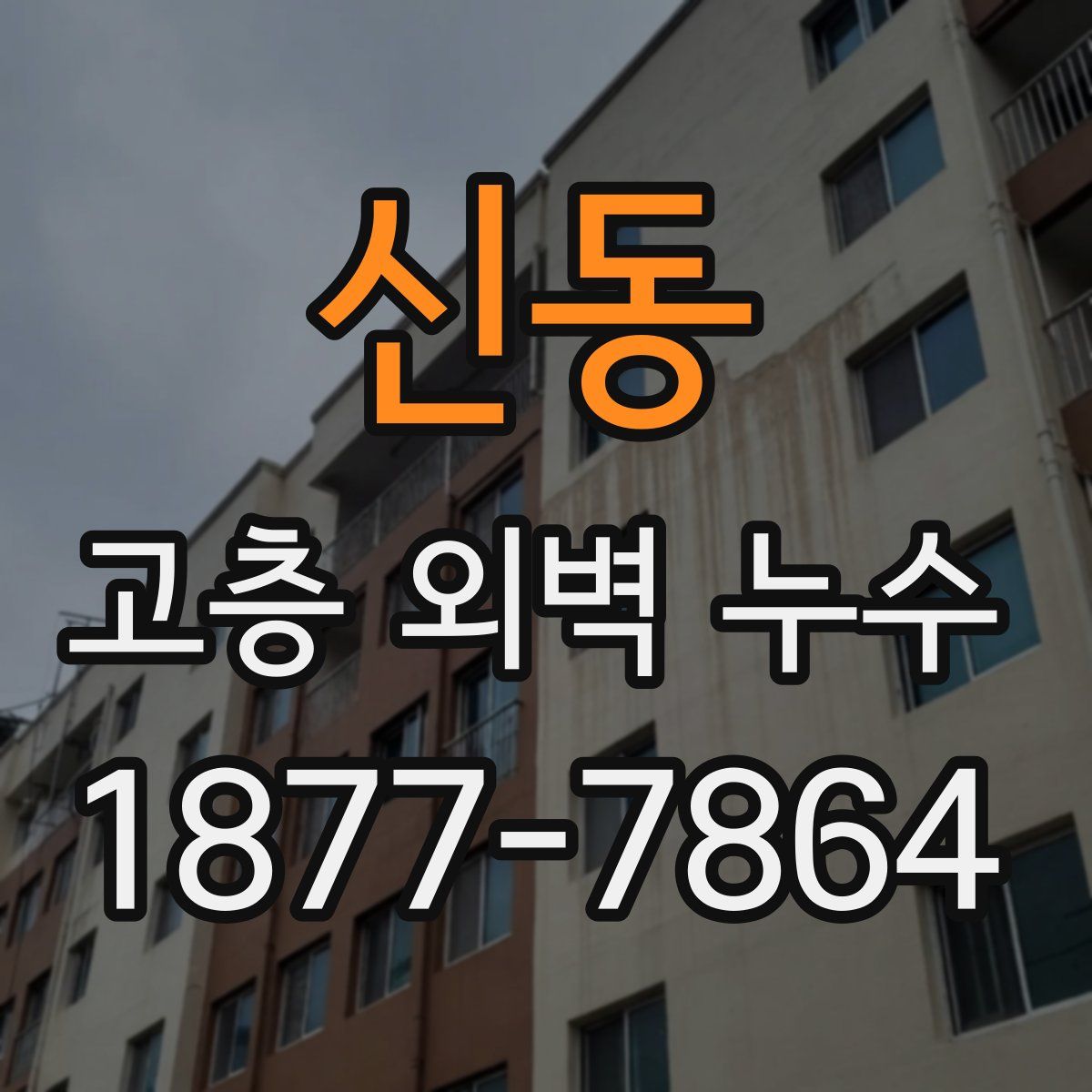 신동 고층 외벽 누수