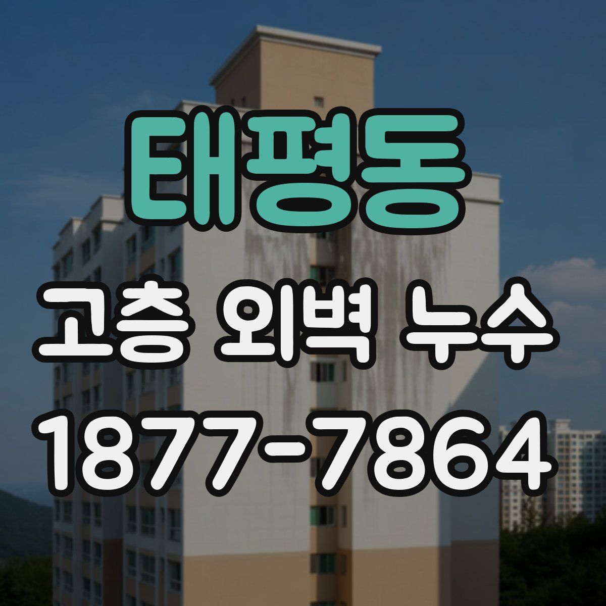 태평동 고층 외벽 누수