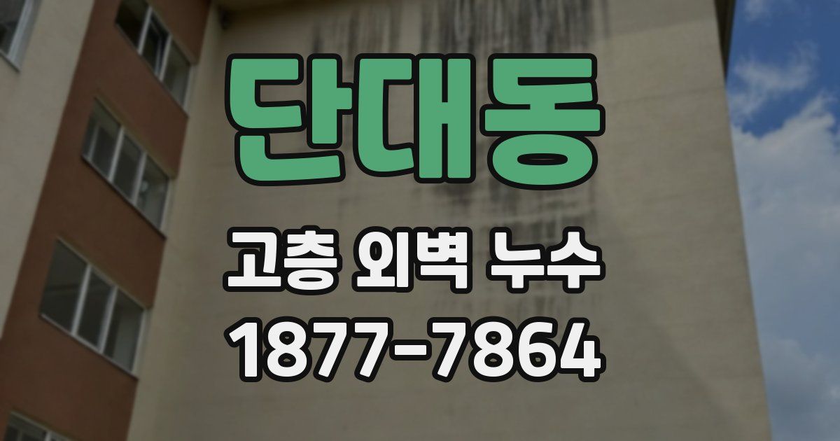 단대동 고층 외벽 누수