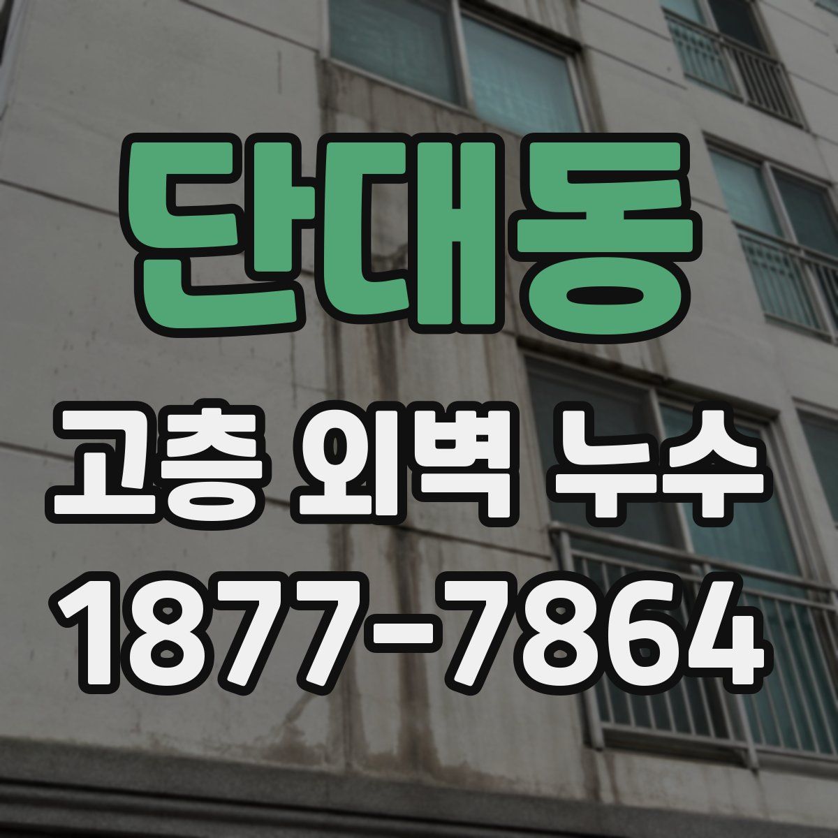 단대동 고층 외벽 누수