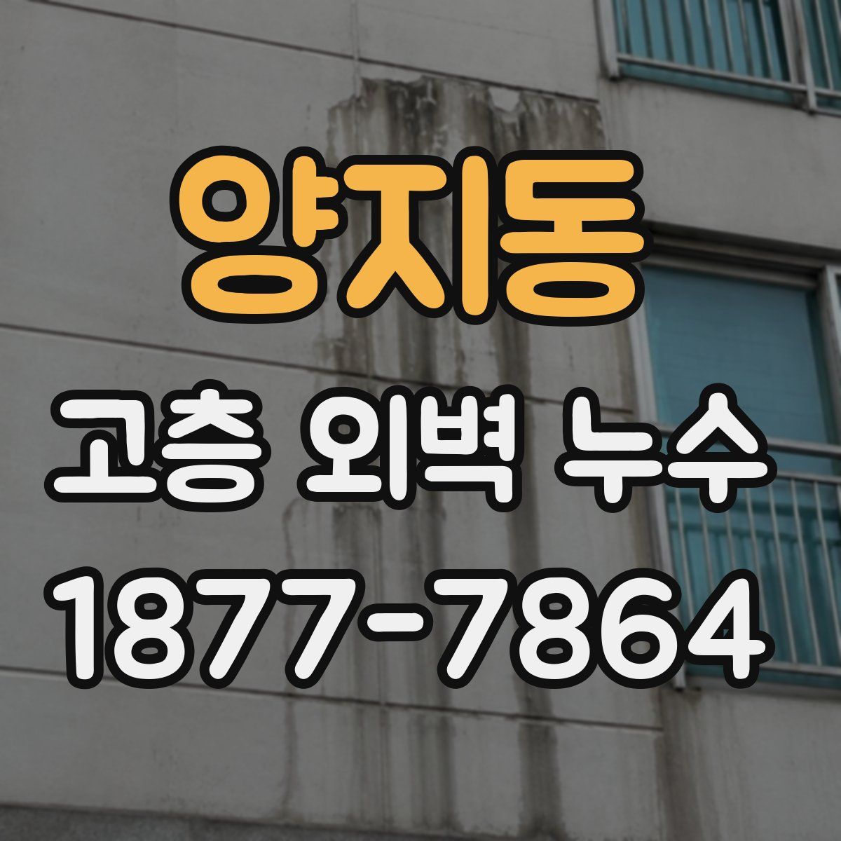 양지동 고층 외벽 누수