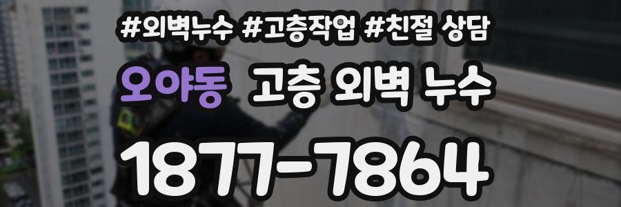 오야동 고층 외벽 누수
