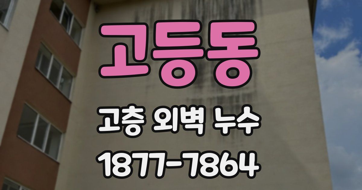 고등동 고층 외벽 누수