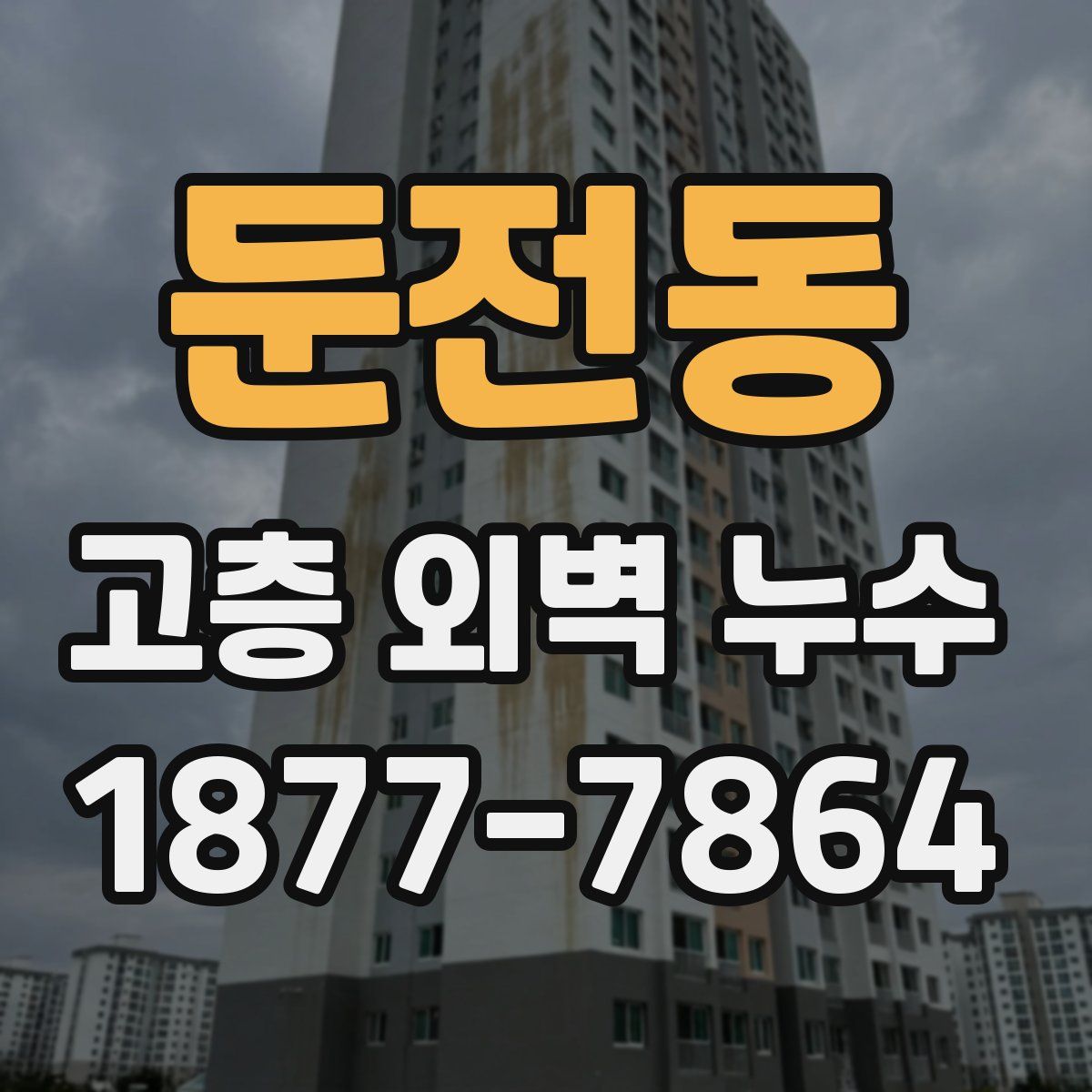둔전동 고층 외벽 누수
