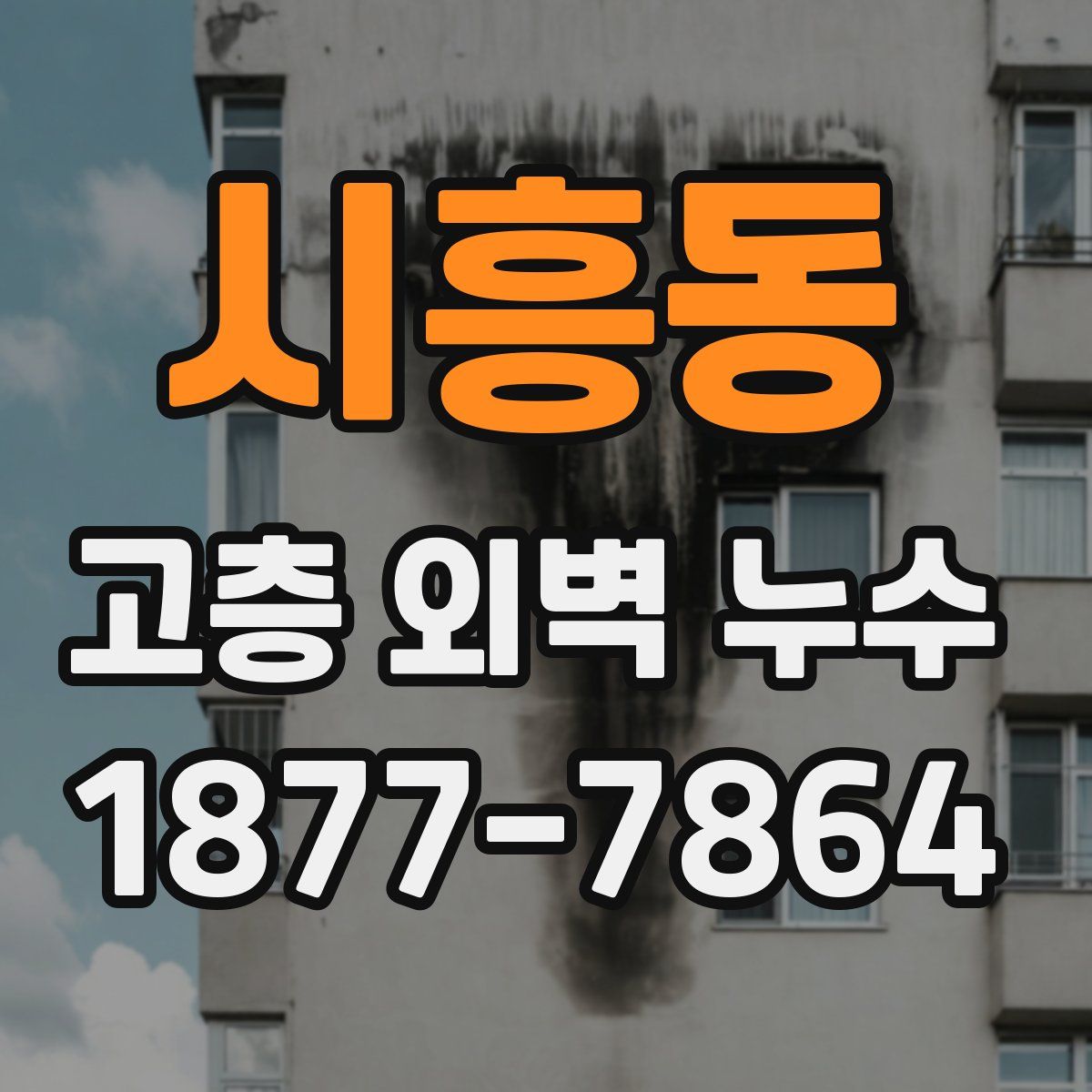 시흥동 고층 외벽 누수