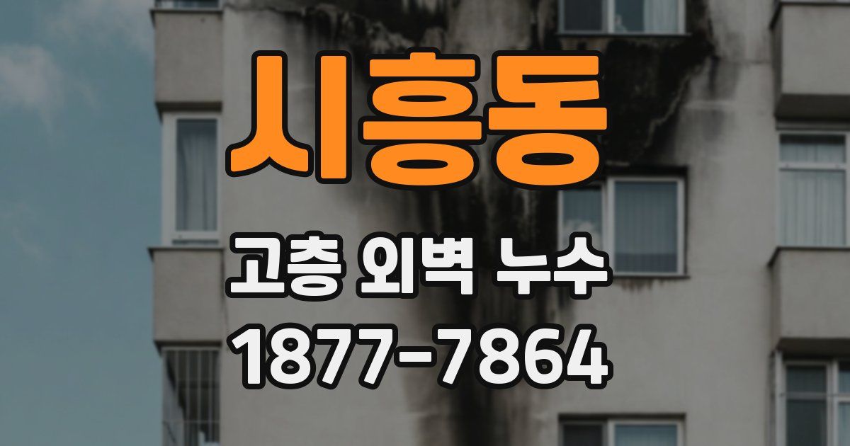 시흥동 고층 외벽 누수