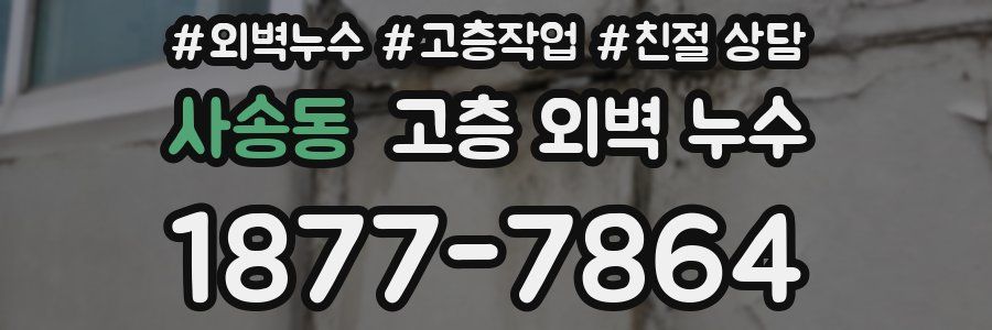 사송동 고층 외벽 누수