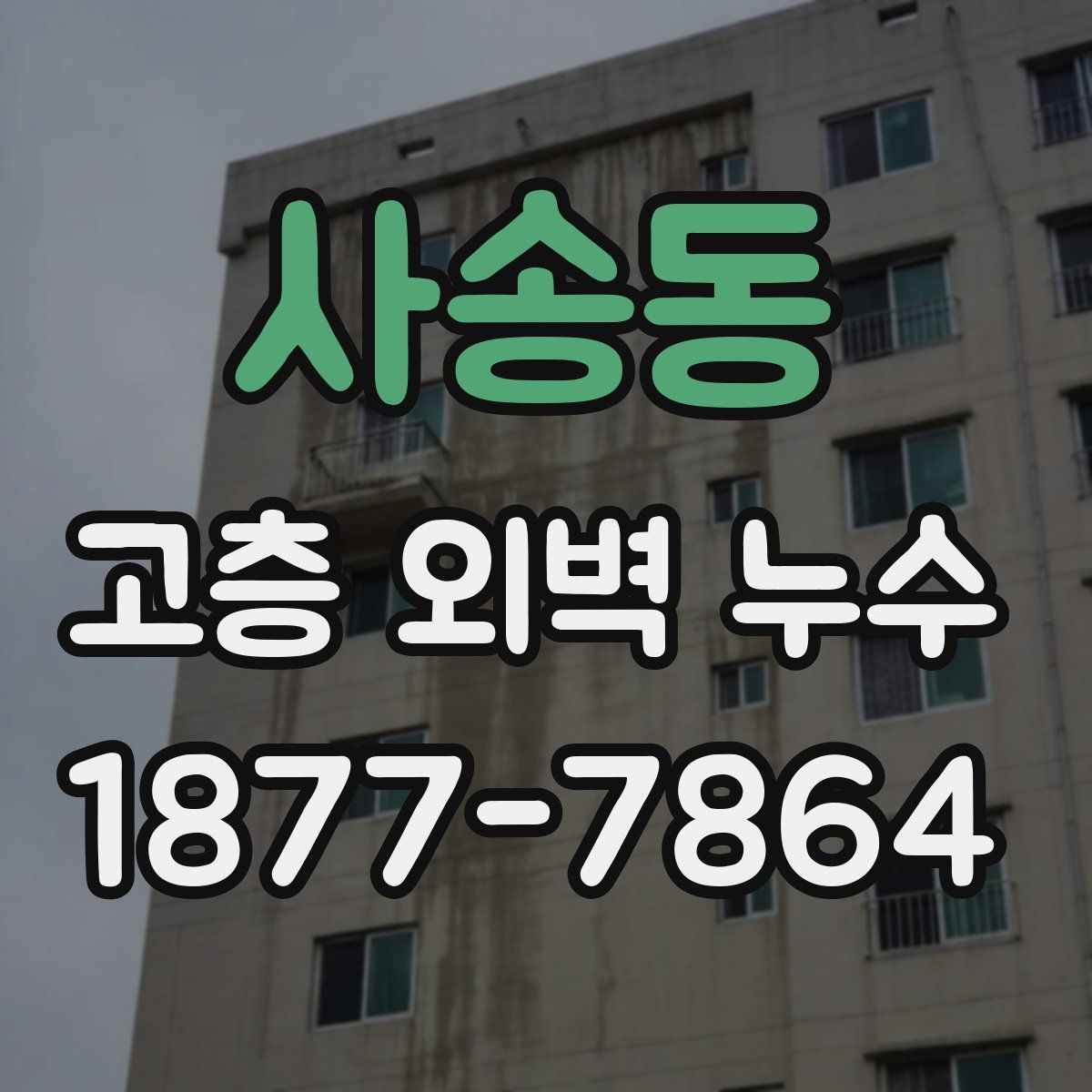 사송동 고층 외벽 누수