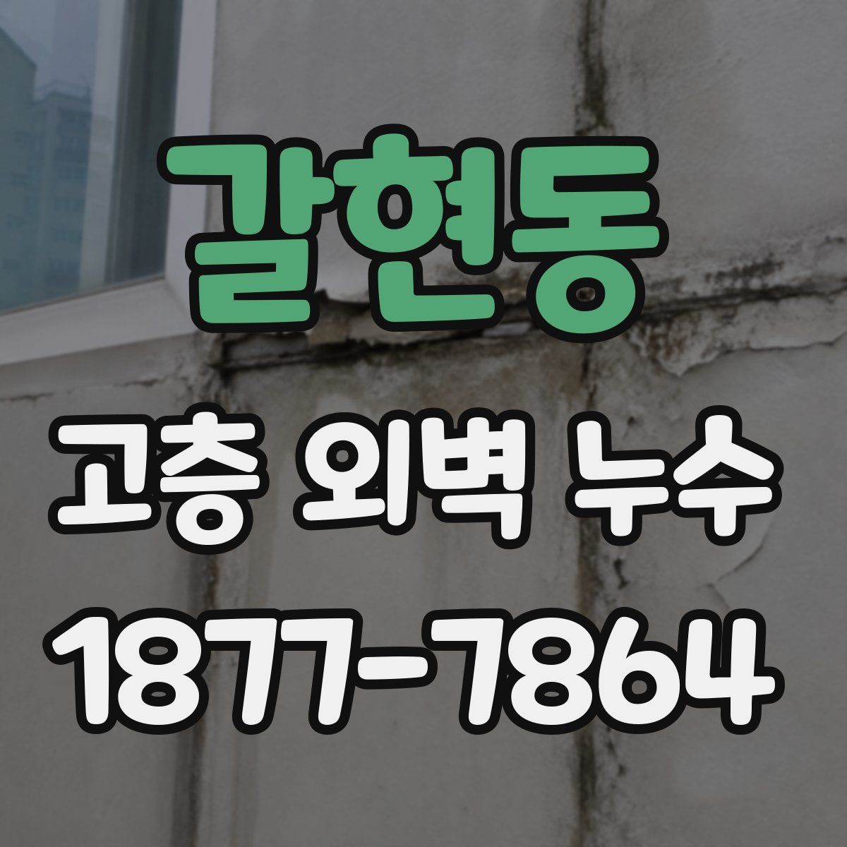 갈현동 고층 외벽 누수