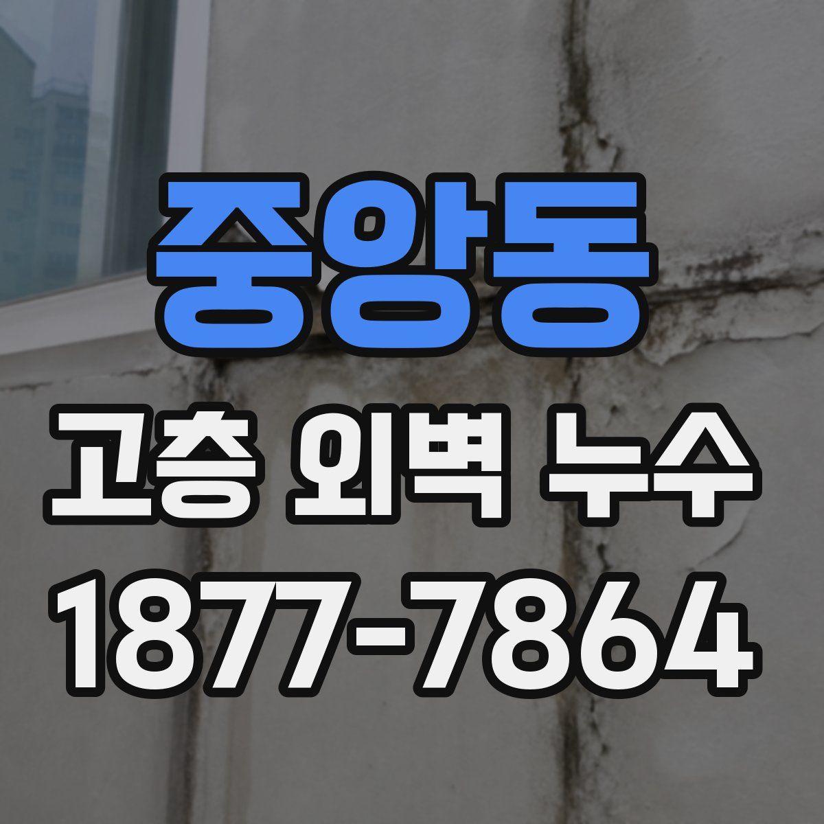 중앙동 고층 외벽 누수