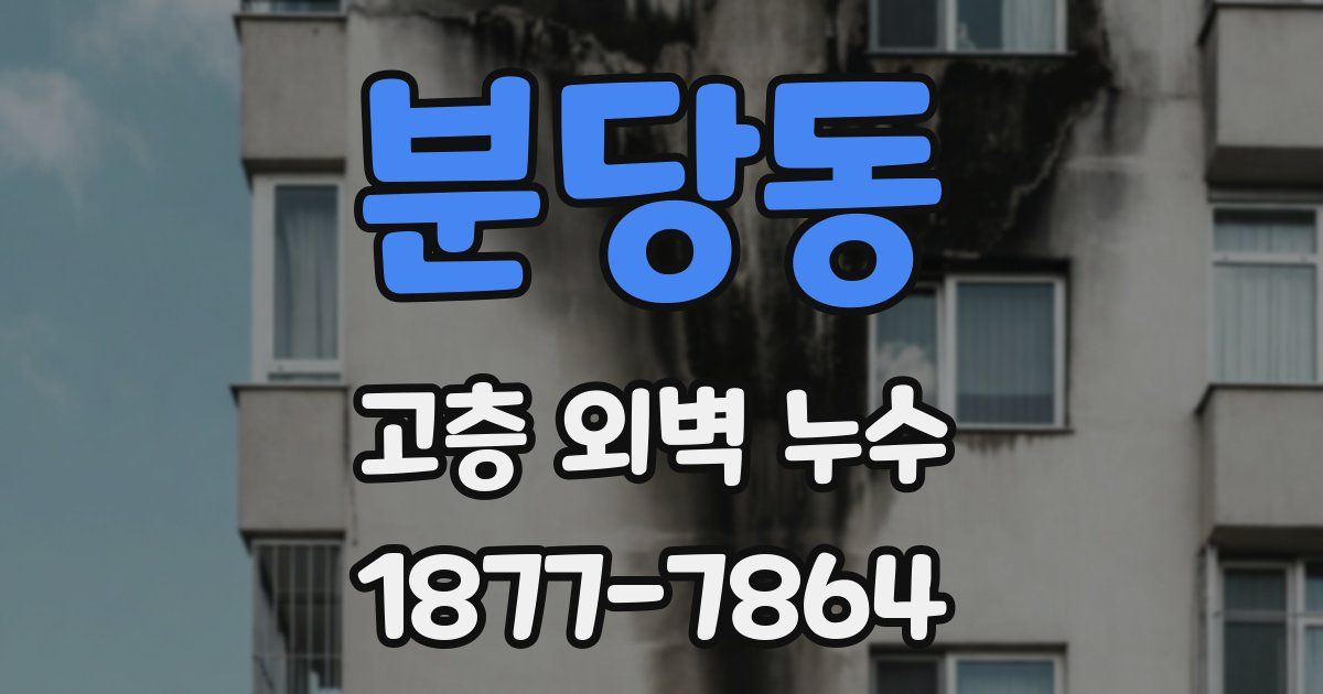 분당동 고층 외벽 누수